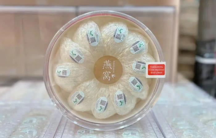 沙嘴街道燕窝回收